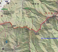 TIMEX T45581 해운대시계를 품에 안다.