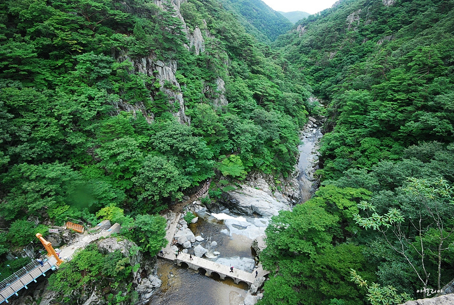 2012년12월9일=포항 내연산(문수봉.삼지봉)