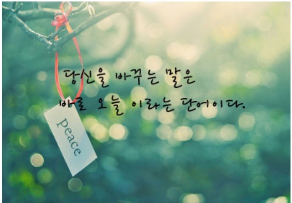 드림트리 이미지