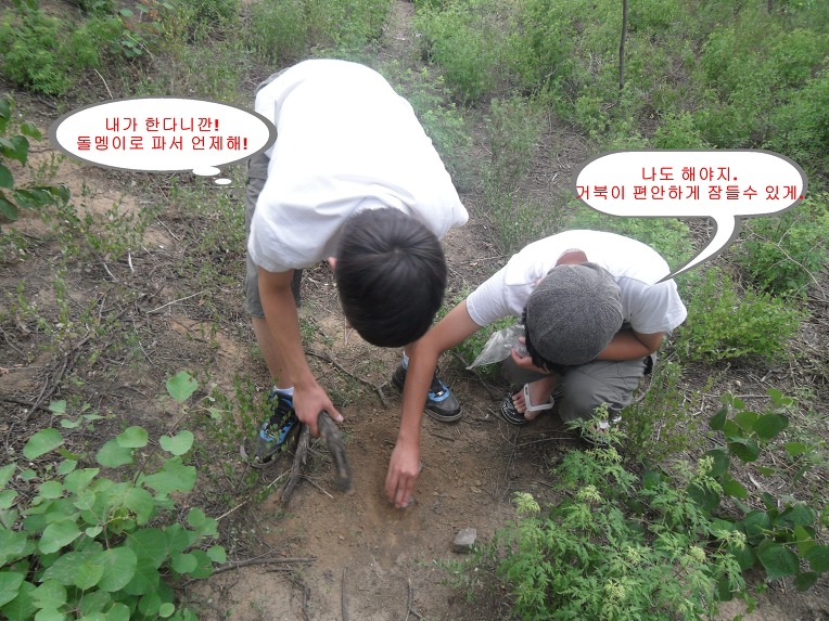 천사된 거북이에게 명당 찾아주기