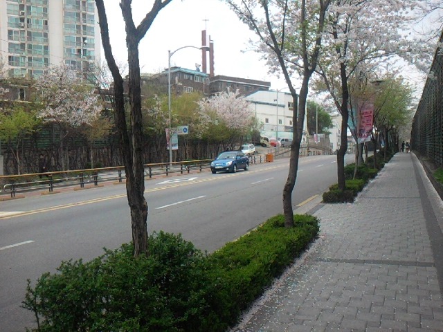 폰 사진