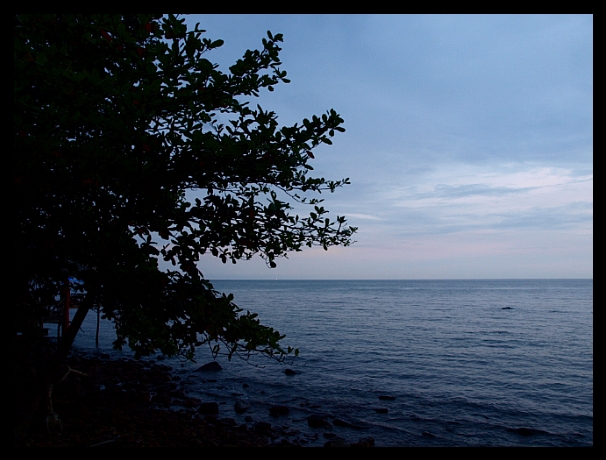 1166E7364DF6017E027454