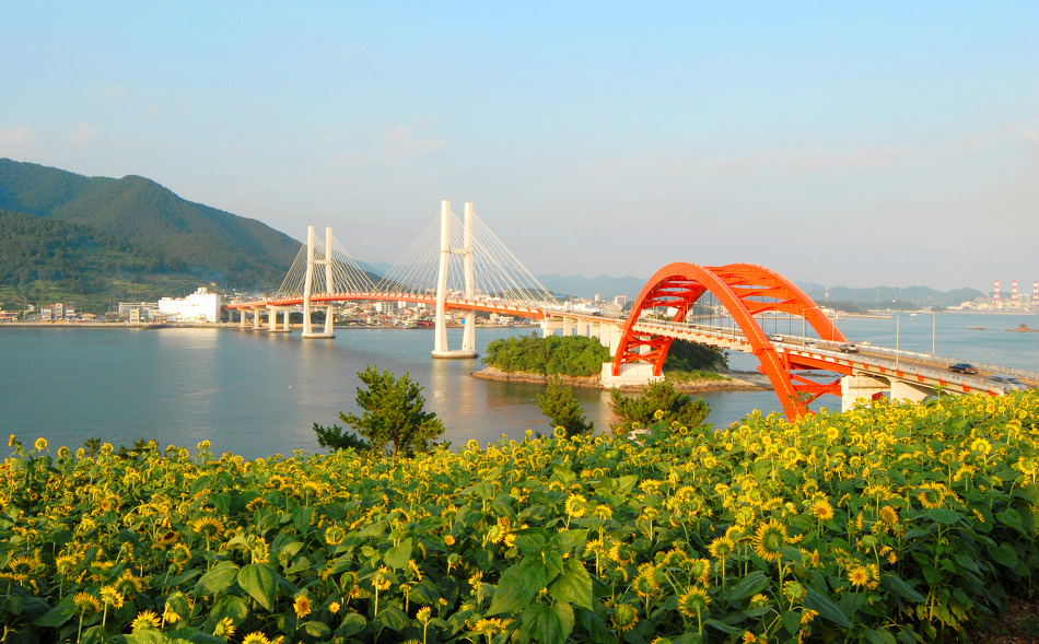 일광수산 이미지