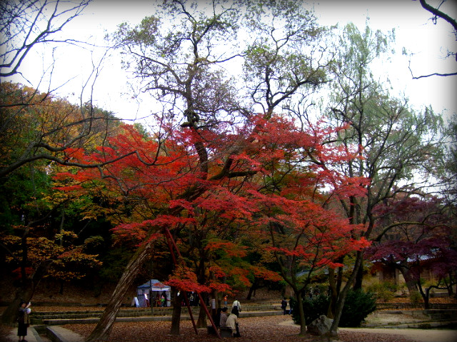 1237101D4AF5B2CA07BCC1