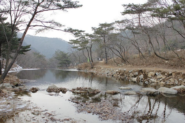 용현자연휴양림 이미지