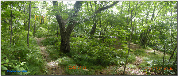 영월지맥(영춘지맥)10구간(국지골 - 국지산 - 태화산 - 각동리)