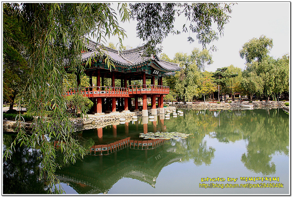  잉어꿈 꾸었더니 태몽(?)이라고~~~