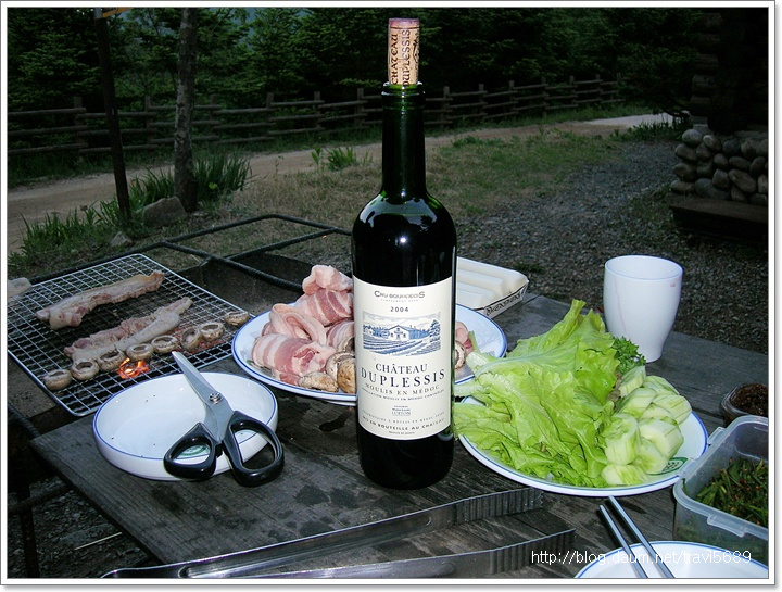 샤또 뒤플레시스 Chateau Duplessis 
