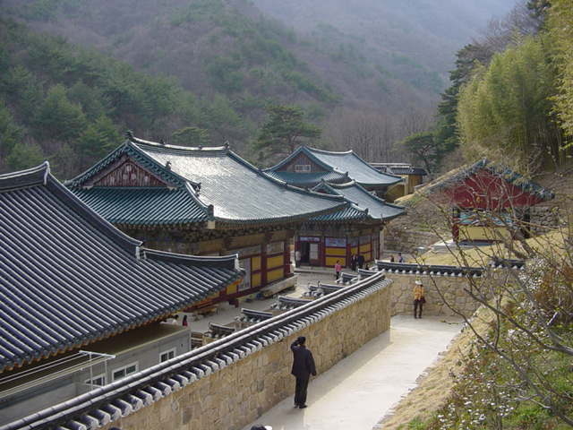 <236>상운산 1114  미터     2003. 3. 20