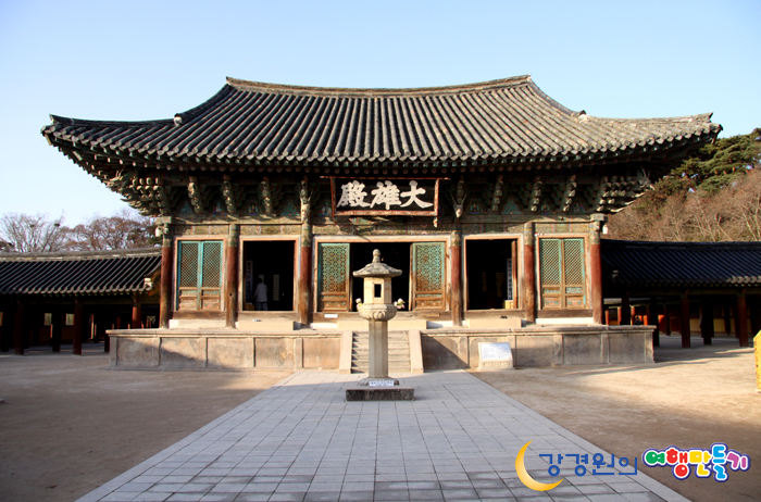 황금복돼지 이미지