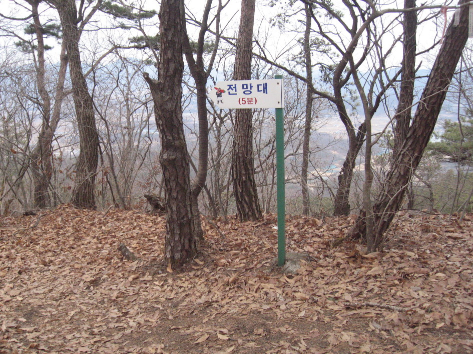 난계국악기 이미지