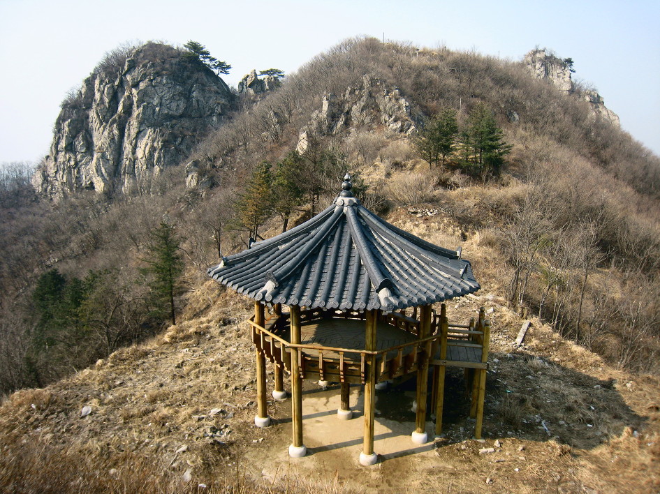 꿩의바람꽃
