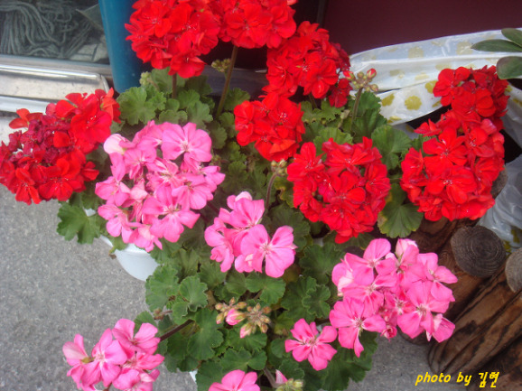 15182D214BB3558D0E695B