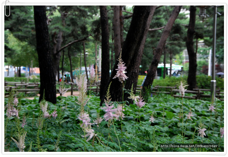 맑은 물, 푸른 숲,  북한산 둘레길을 걸었다.