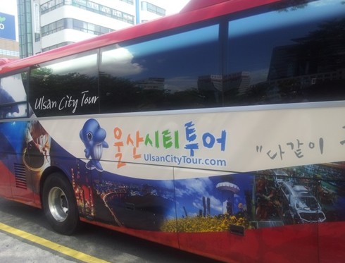 태화여행사 이미지