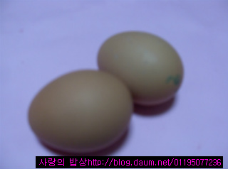 무부침개