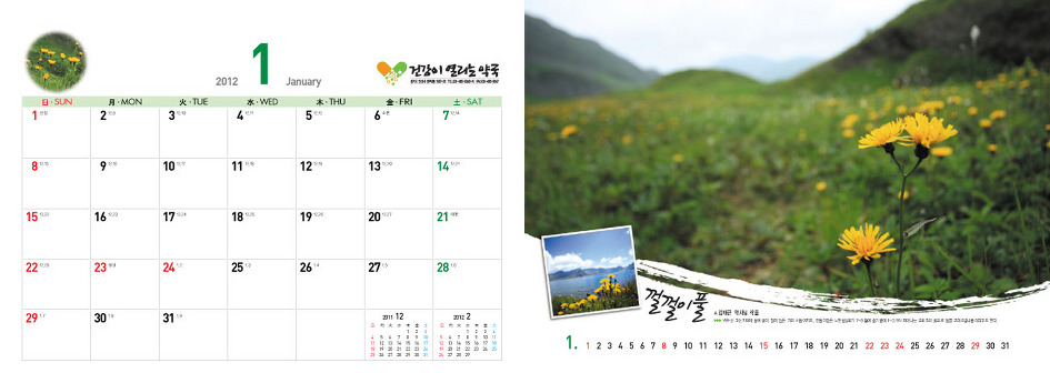 야생화달력탁상용2012년-백두산속야생화