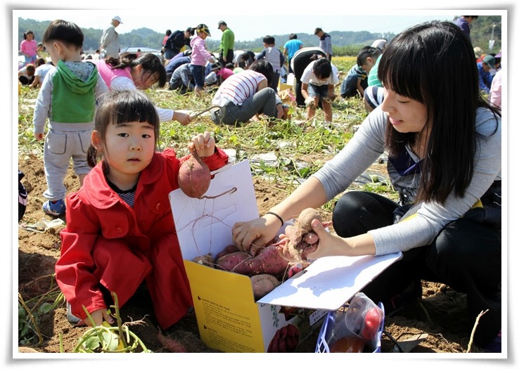 지유상도 이미지