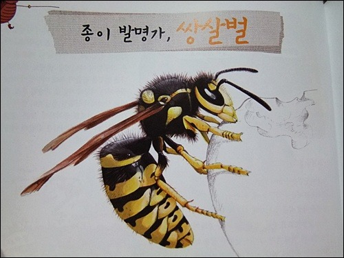 더블클릭을 하시면 이미지를 수정할 수 있습니다