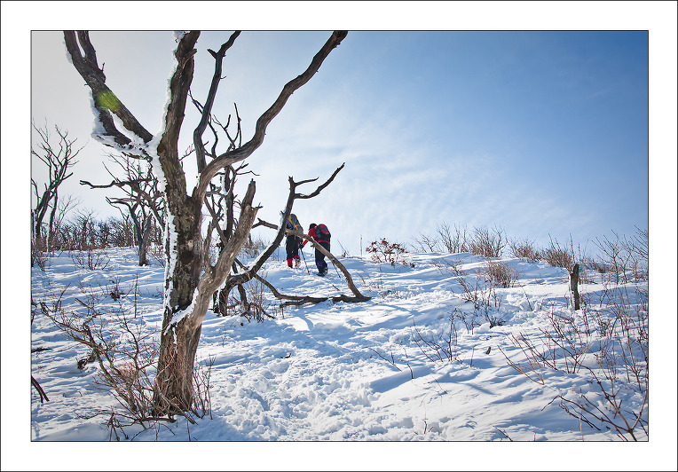 대동LPG충전소 이미지