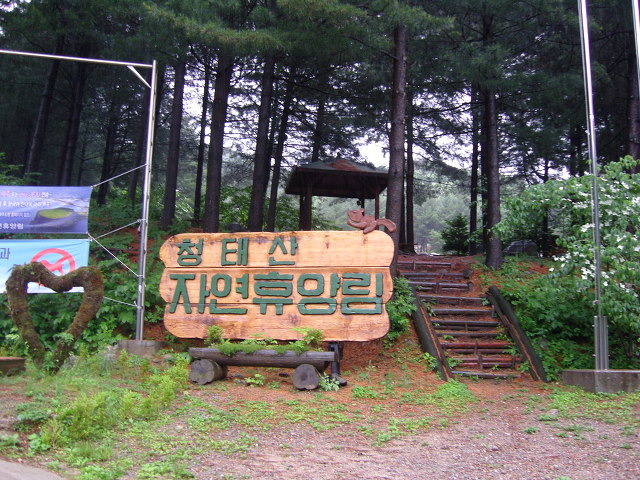 17276A504E06FF031284D8
