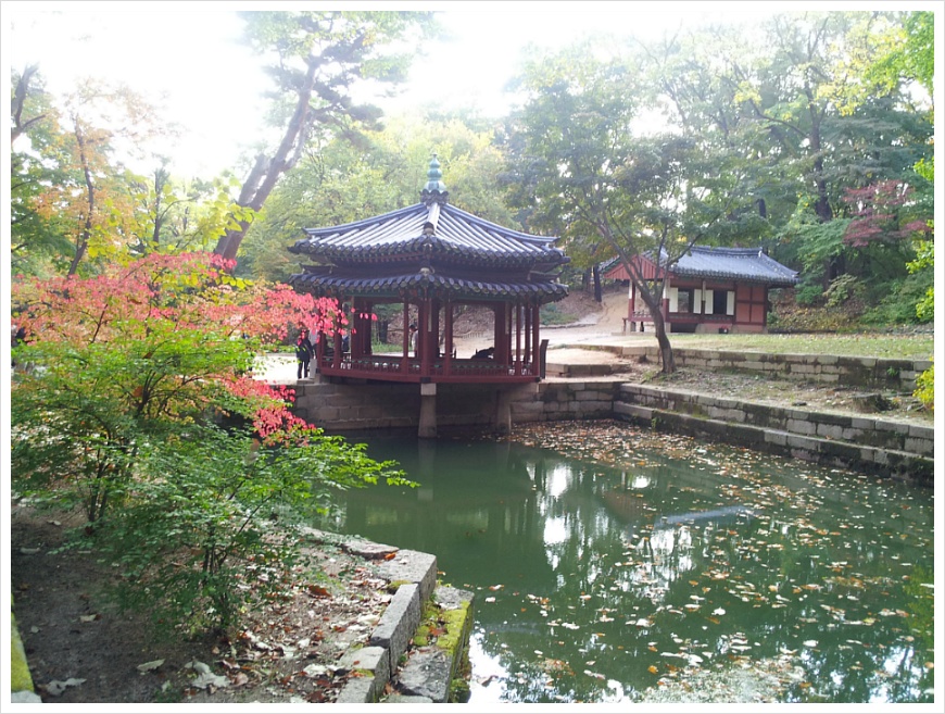 [서울여행 가볼만한 곳] 서울 살이 30년 만에 처음 갔던 창덕궁 후원. 비원의 가을 풍경