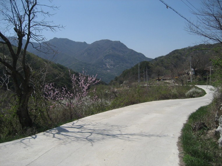 말밥 이미지