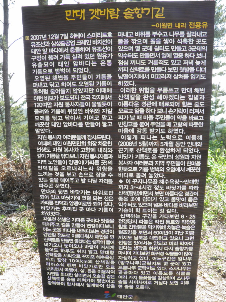 차필수 이미지