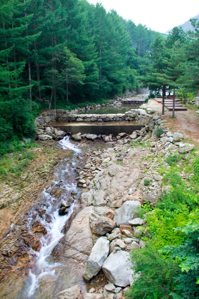 덕유산자연휴양림 이미지