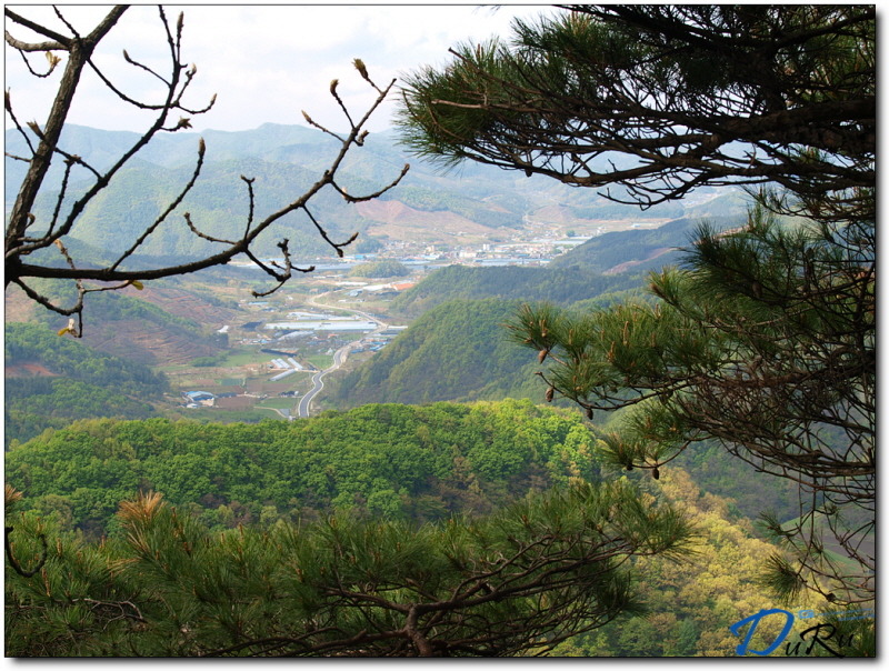 수동공판장 이미지