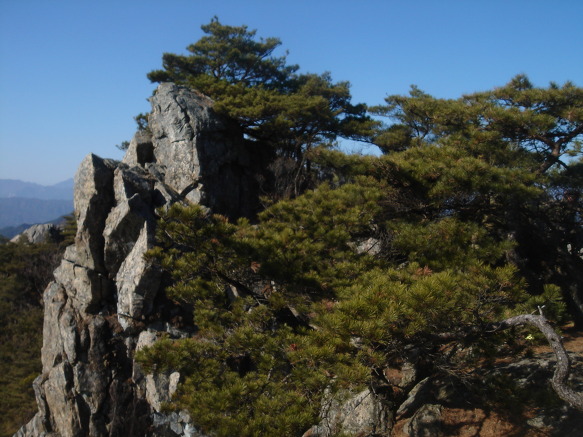 정장군 이미지