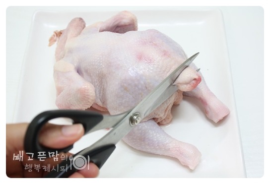 말복에 해먹은 여름 대표보양식.