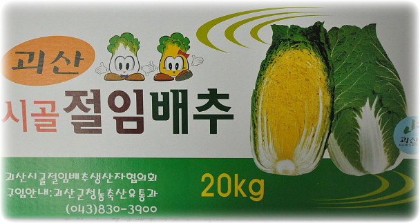 늘이네 이미지
