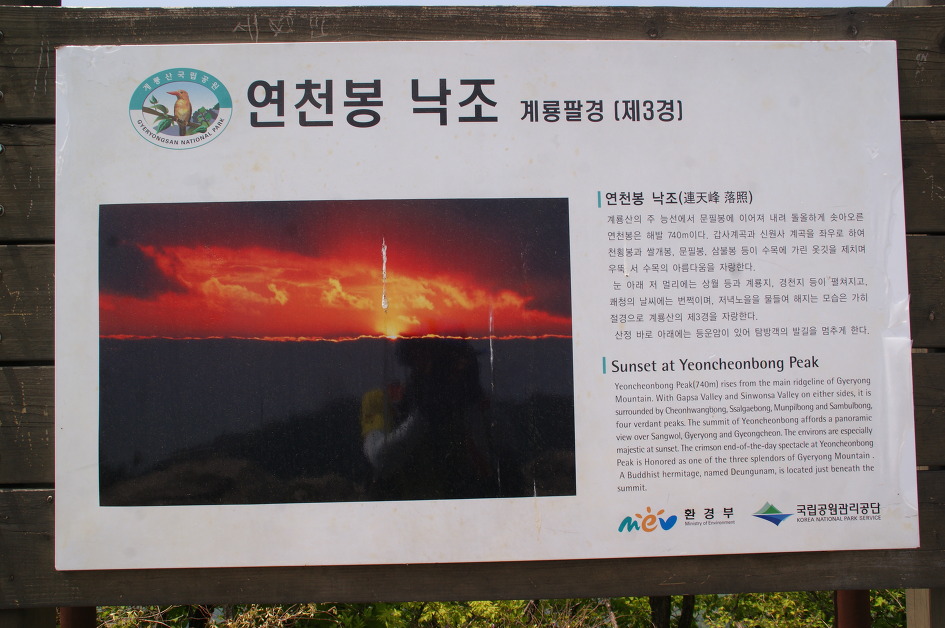 계룡산의 봄(동학사 ~ 갑사 / 15. 5. 9)