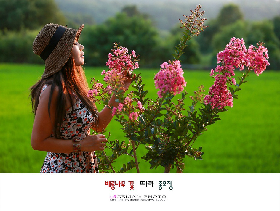 나의오월은....사진은 추억이다