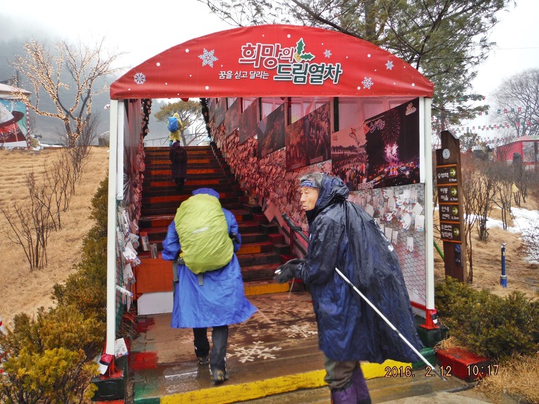백우산악회 | 봉화 배바위산(967.9m)-투구봉(615m)산행 및 낙동정맥... 카페 봉화 배바위산(967.9m)-투구봉(615m)산행 및 낙동정맥 트레일... 