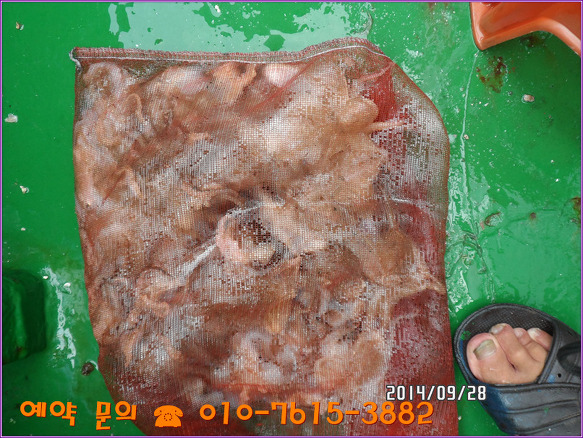 2173AE4354280908189EC1