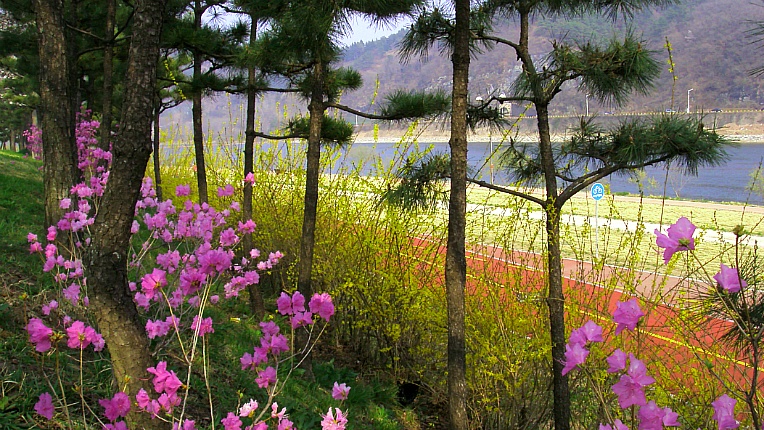 22183A43551902A7143CDF