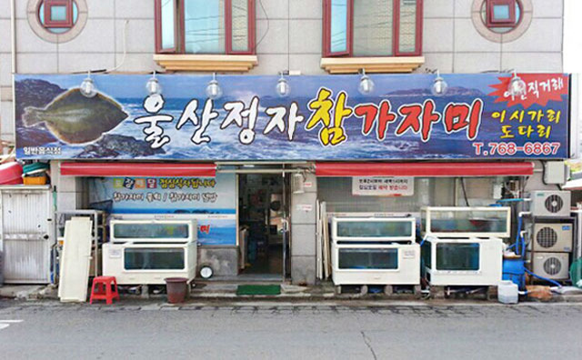 울산정자참가자미 이미지