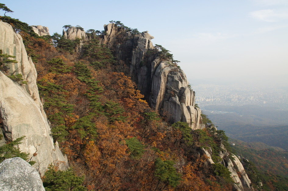 에덴동산 이미지