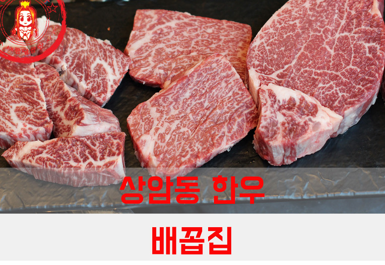 한우와 평양냉면의 기막힌 조합~ ☆상암동 한우 맛집/상암동 고기집_배꼽집 상암점☆ - 상암동 지역 추천맛집 배꼽집 후기