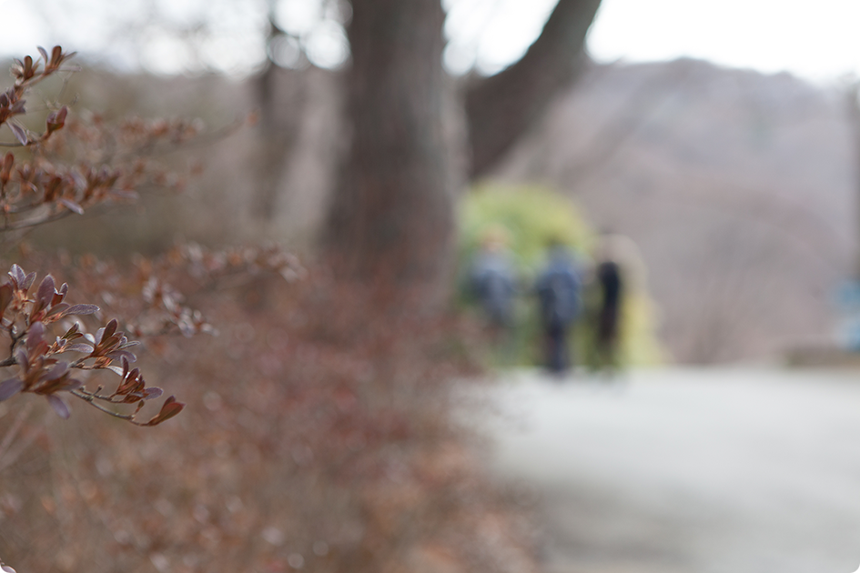 봄이 오는 길목_6