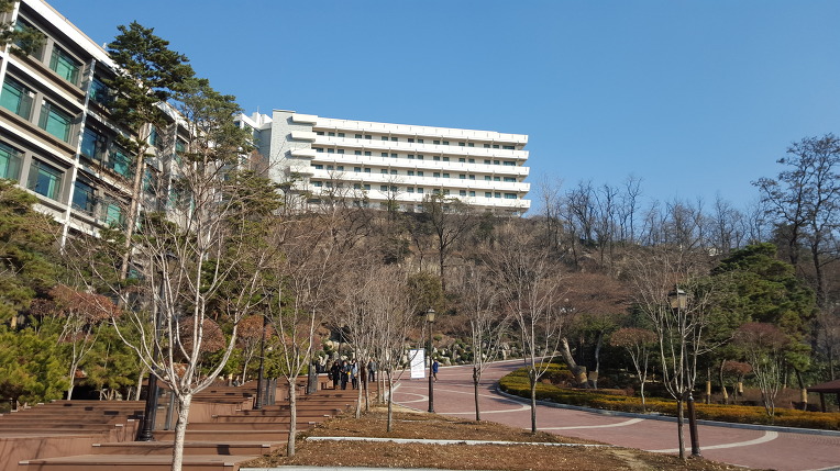 나리 시집 가는 날