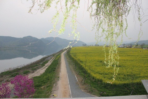 2313C036534BD50431AA1E