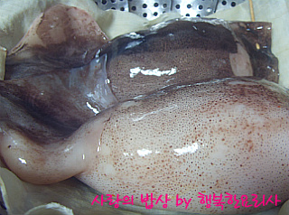 반찬세상 이미지