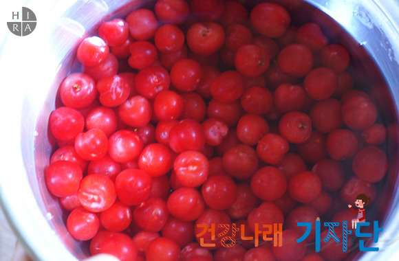 앵두청과 이미지