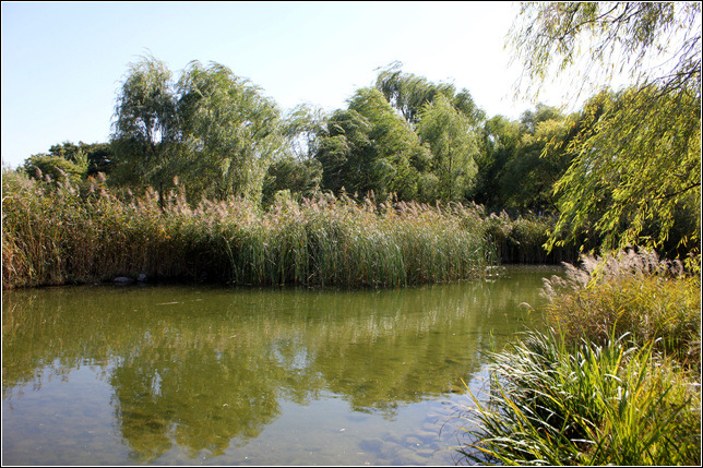 2379C64F5449DF63133273