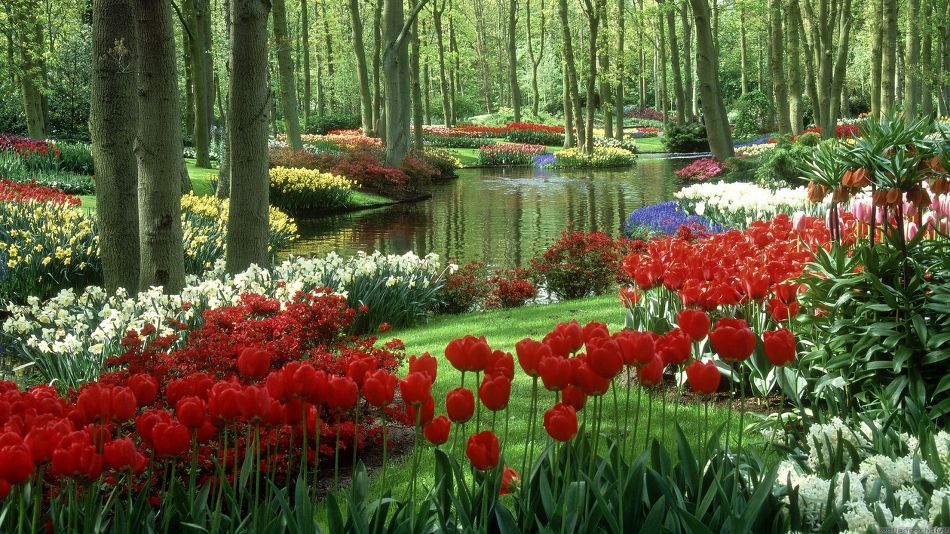 바탕화면(배경화면)으로 사용하기에 좋은 아름다운 정원사진들(Amazing Garden Photos)