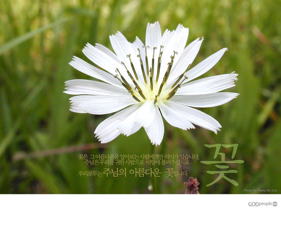 파송의 노래外 