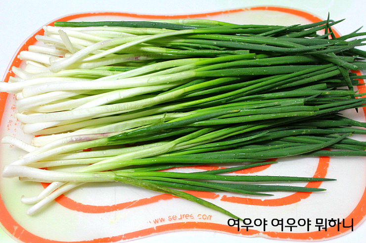 동래해물파전 이미지